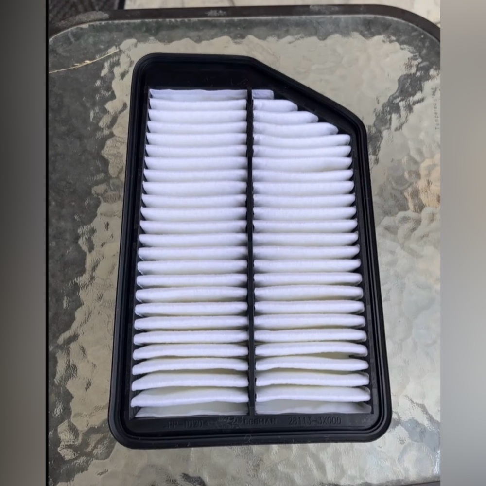 Genuine Hyundai Air Filter